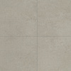 /f/35585/100/image.jpg